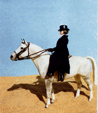Huntseat Sidesaddle with Rider