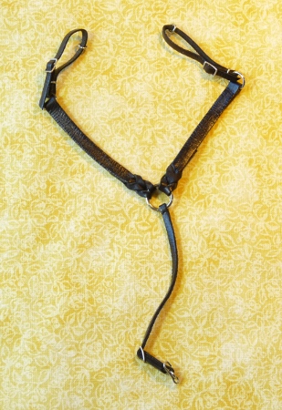 Split Braid Western Bridle -- scale miniature
