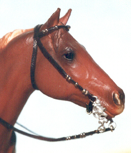 Western Bridle