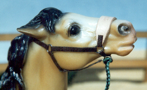 Bronc Halter