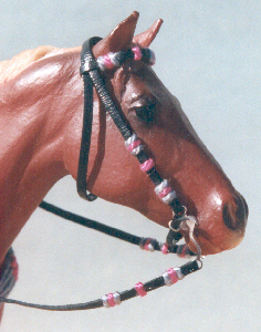 Detail of Western Gymkhana Bridle
